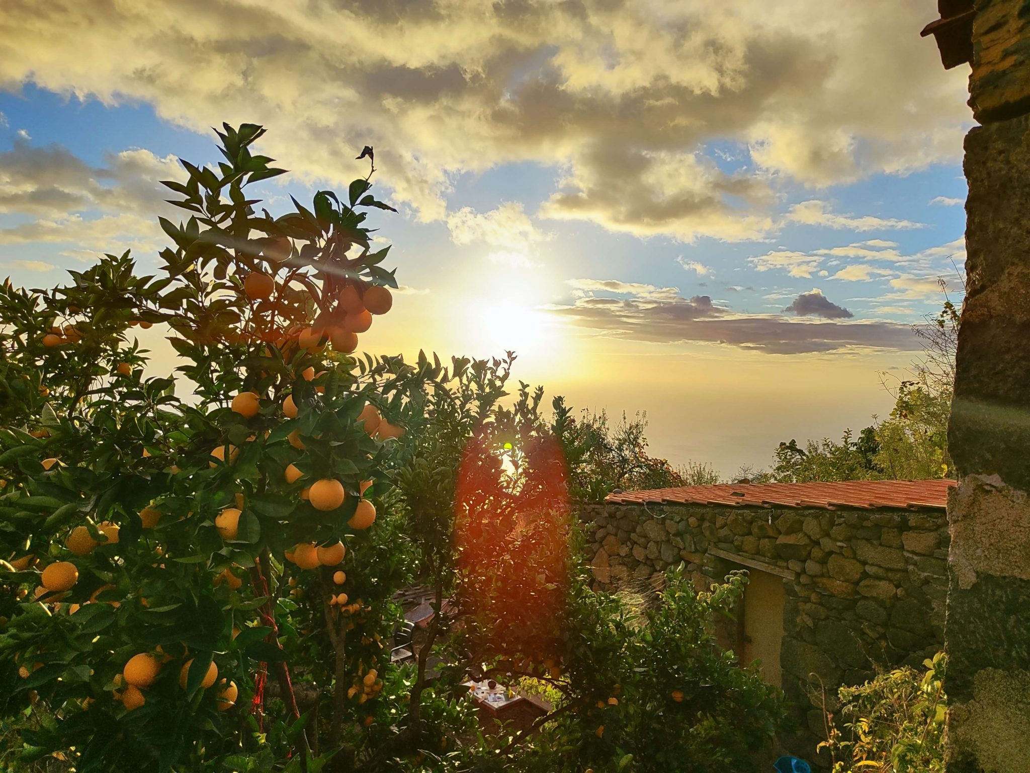 Homesteading as a lifestyle: A sustainable adventure by Joana and Martin